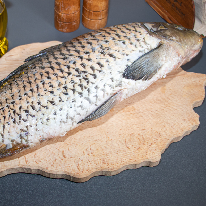 Untitled design (23)